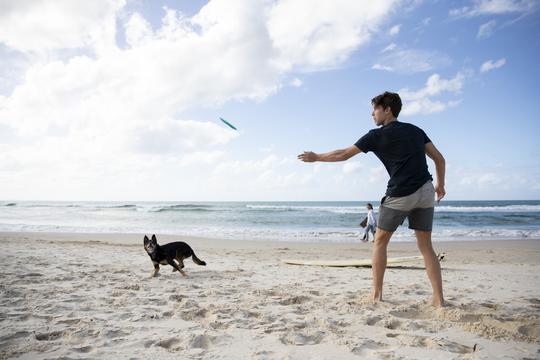 Actual product image Waboba Jetwag (Ball toy dog)