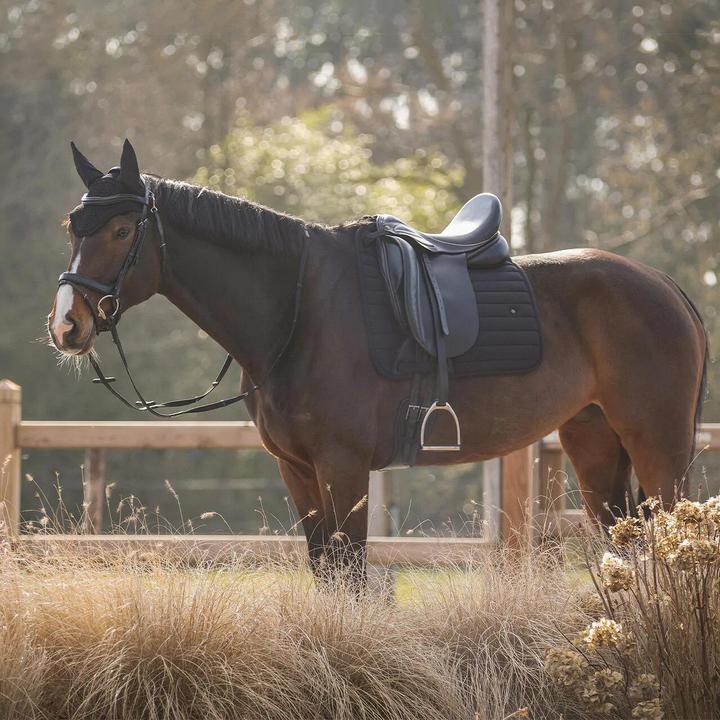 Produktbild Qhp Salerno