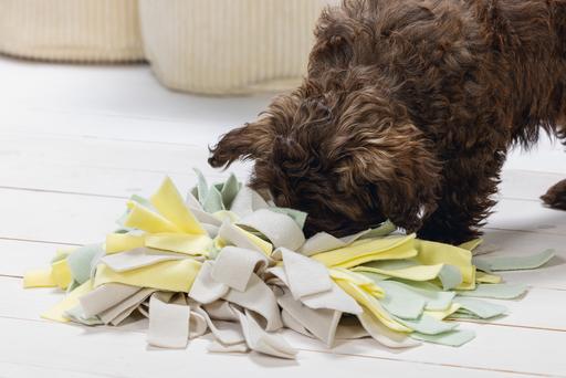 Actual product image Beeztees Sniffy (Puppy Toy)