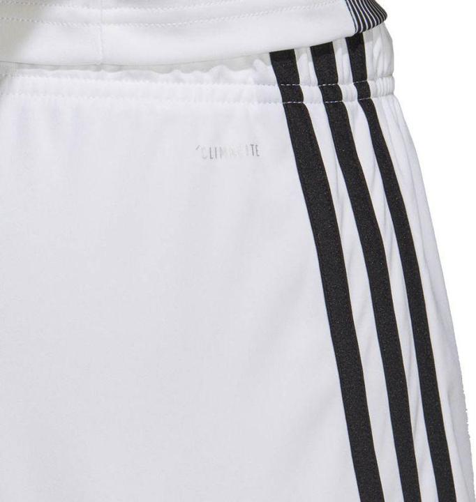 Actual product image Adidas Tastigo 19 Shorts (S)