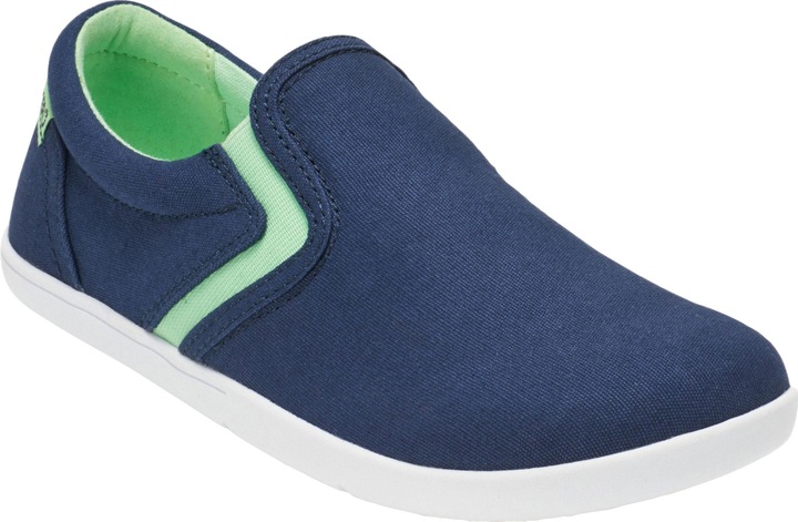 Insignia Blue