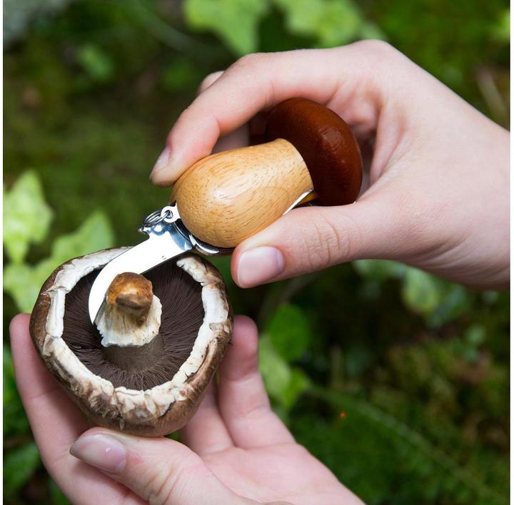 Immagine prodotto Kikkerland Strumento per funghi