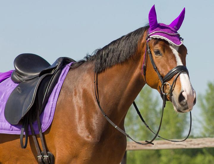 Actual product image Qhp Ear yarn Color