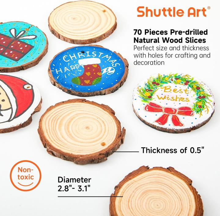 Produktbild Shuttle Art 123-teiliges Holzscheiben-Set zum Basteln