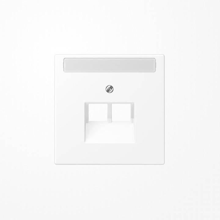 Actual product image JUNG Solid panel UAE/IAE 2f LS ws glz LS969-2NAUAWWM