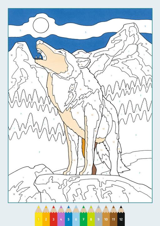 Actual product image Ravensburger Malbuch Malen nach Zahlen