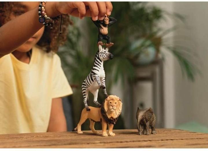 Actual product image Schleich Wild Life Africa Starter Set