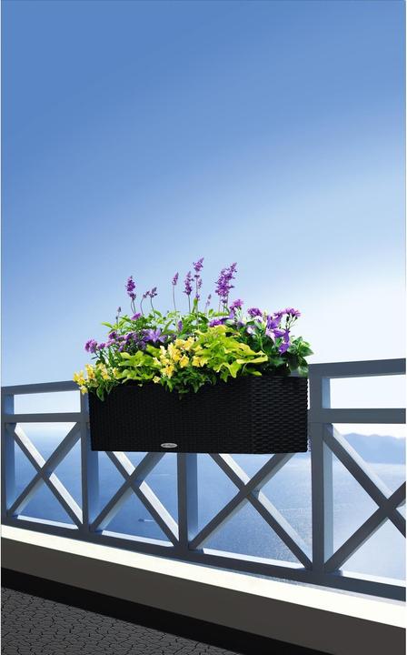 Actual product image Lechuza Balconera (79 x 79 x 19 cm)