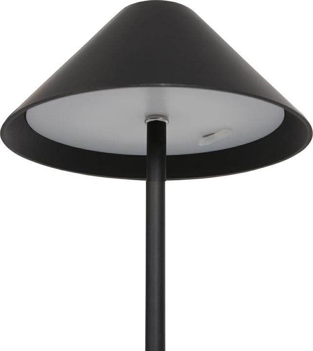 Actual product image Steinhauer Ancilla (270 lm)