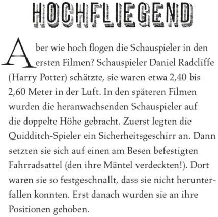 Actual product image Harry Potter - Quidditch - Das offizielle Buch mit 3D-Puzzle Fan-Art (German, Warner Bros. Consumer Products GmbH, 2023)
