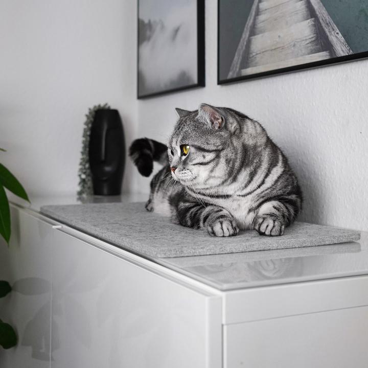 Produktbild LucyBalu FELTY Fensterbrettauflage (Katze)