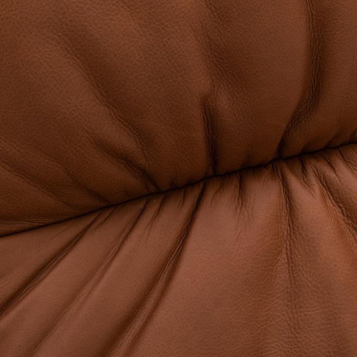 Actual product image Janus