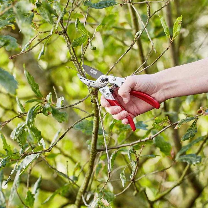 Productafbeelding Siena Garden Tuinscharen