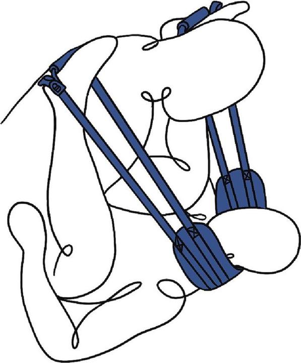 Actual product image Sportsheets Pivot Deluxe dog harness (ss36005)