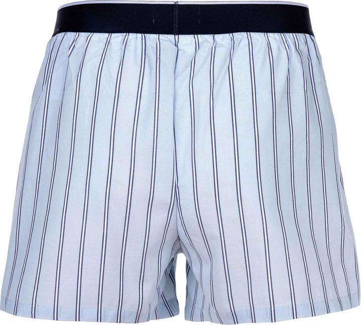 Actual product image Lacoste Pack De 3 Caleçons (L, pack of 3)