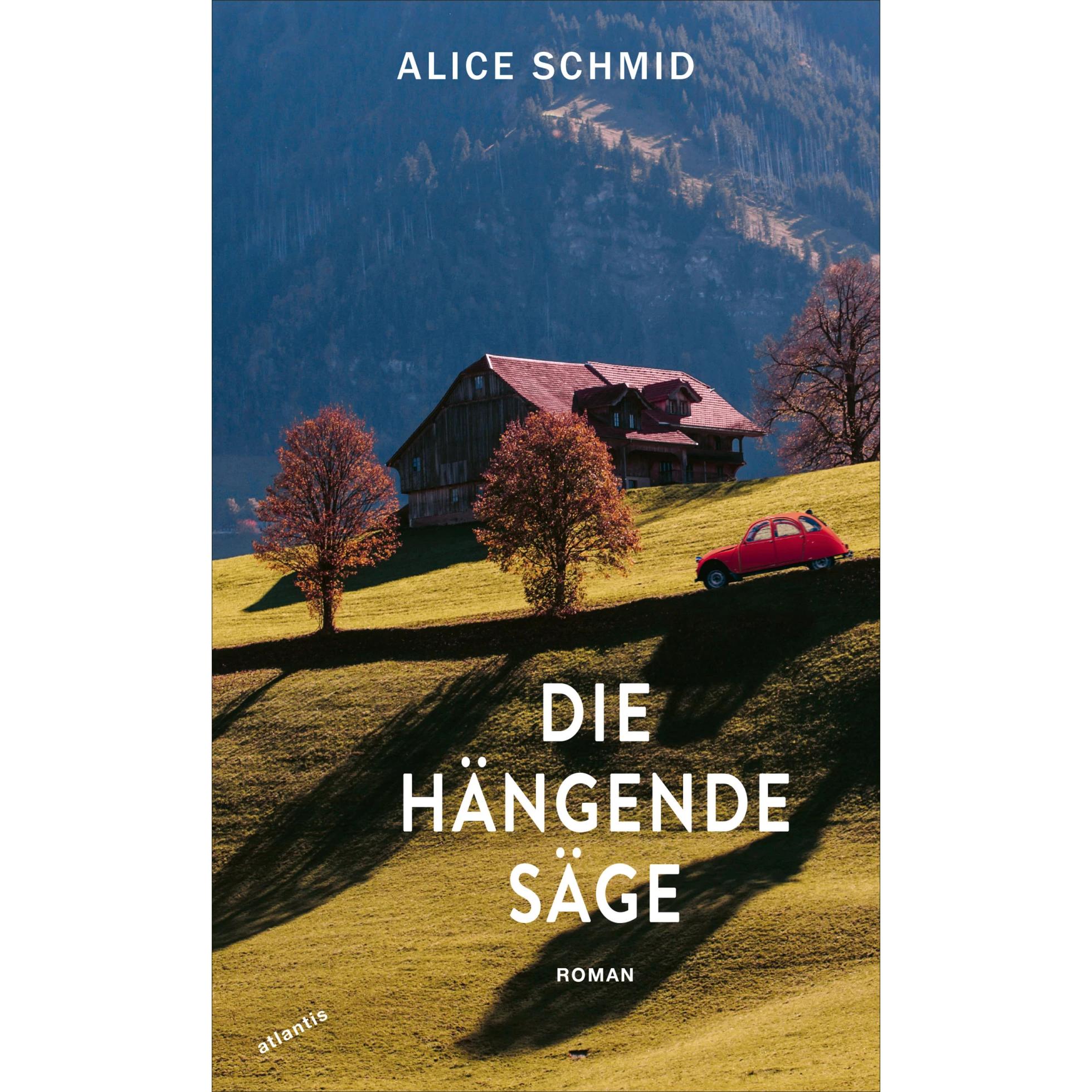 Die hängende Säge, Belletristik von Alice Schmid