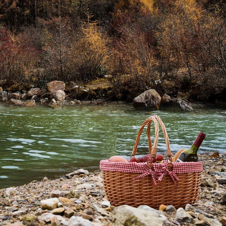 Produktbild G Good Gain Picknickkorb mit Doppelfaltgriffen