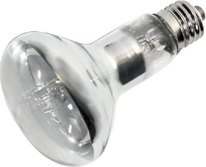 Actual product image Hobby Terrarium lamp UV Eco vital, E27, 70 W (UVB, UVA)