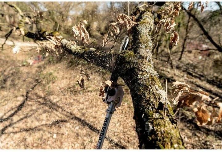 Produktbild Metabo MA-MS 25 (Akku Kettensäge)