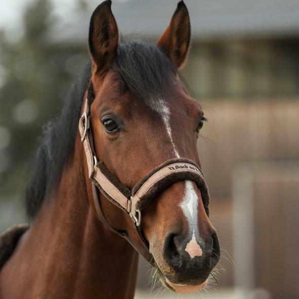 Immagine prodotto Back on Track Haze Collection