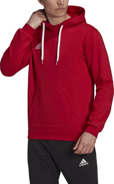 Actual product image adidas Entrada 22 hoodie men (XS)