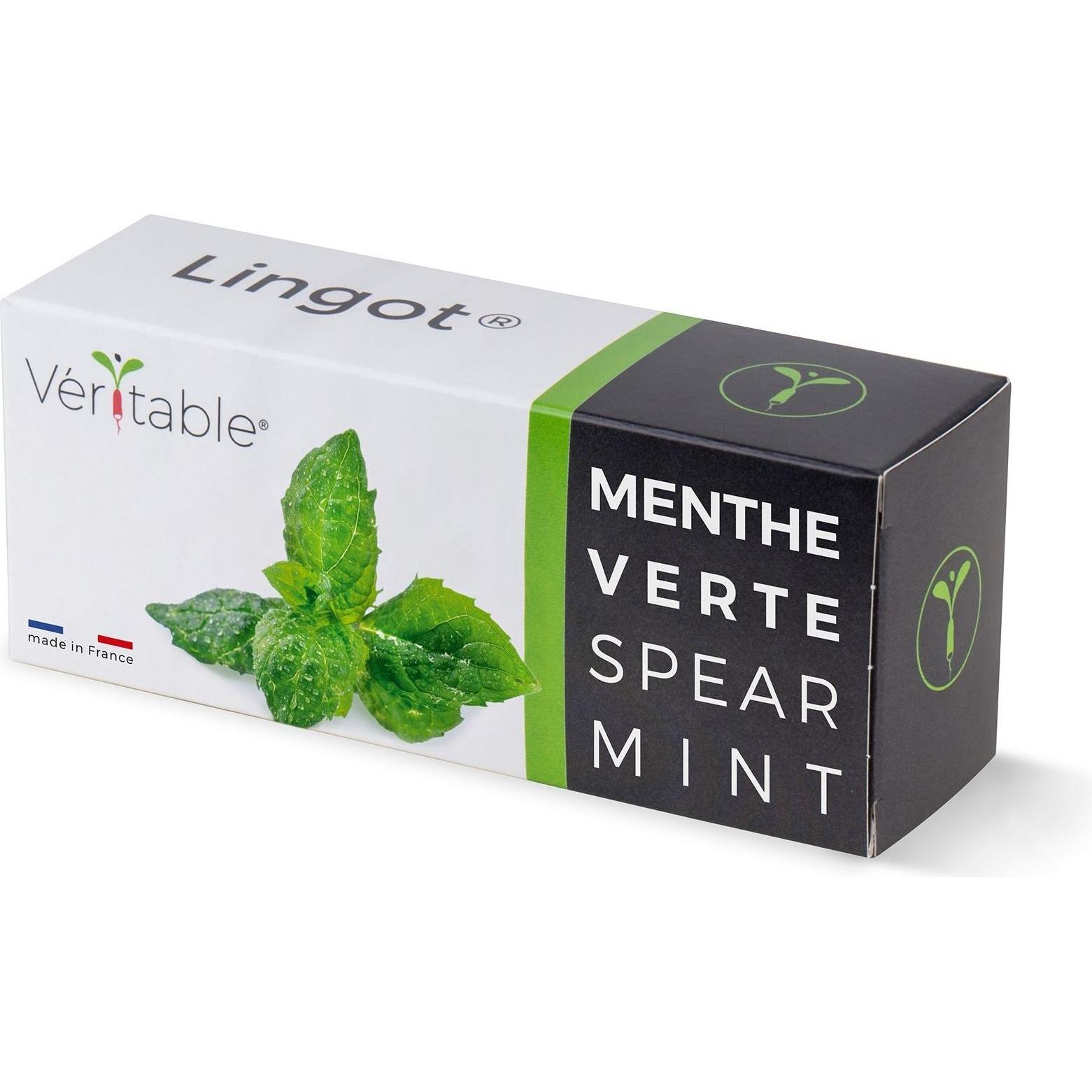 Véritable, Samen, 3760262511085 (Kräutersamen)