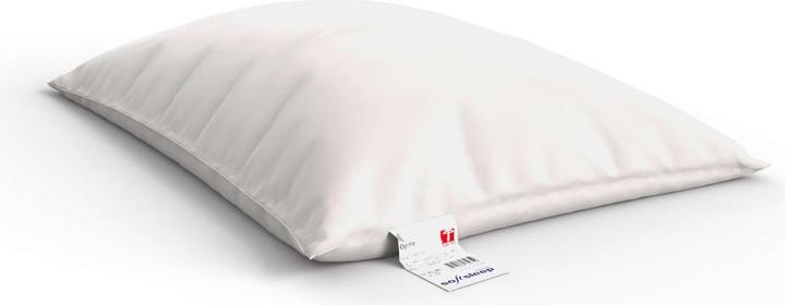 Actual product image softsleep Pfulmen Prestige Geese (65 x 65 cm)