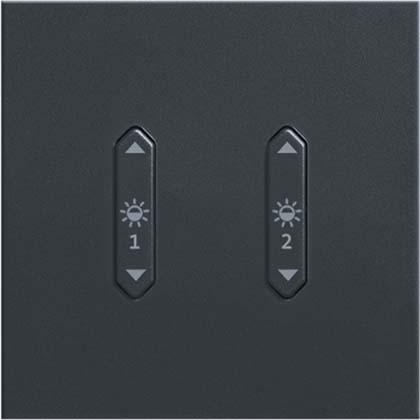 Zumtobel Lighting Interruttore a bilanciere 2-gang luce antracite 22161843