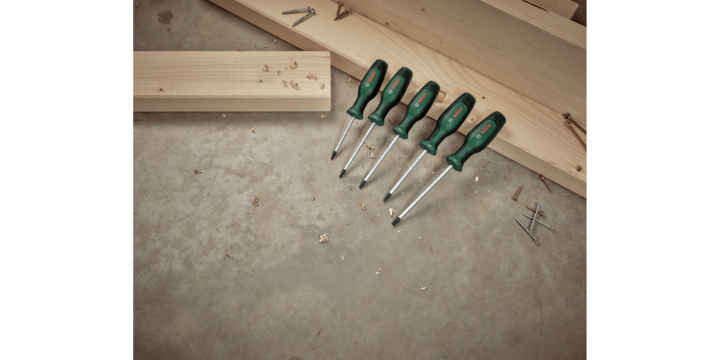 Actual product image Bosch Home & Garden Torx 5-piece screwdriver set (Pin-torx)