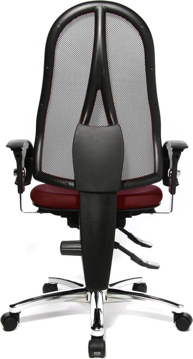 Actual product image Topstar Sitness 15 (43 - 54 cm)
