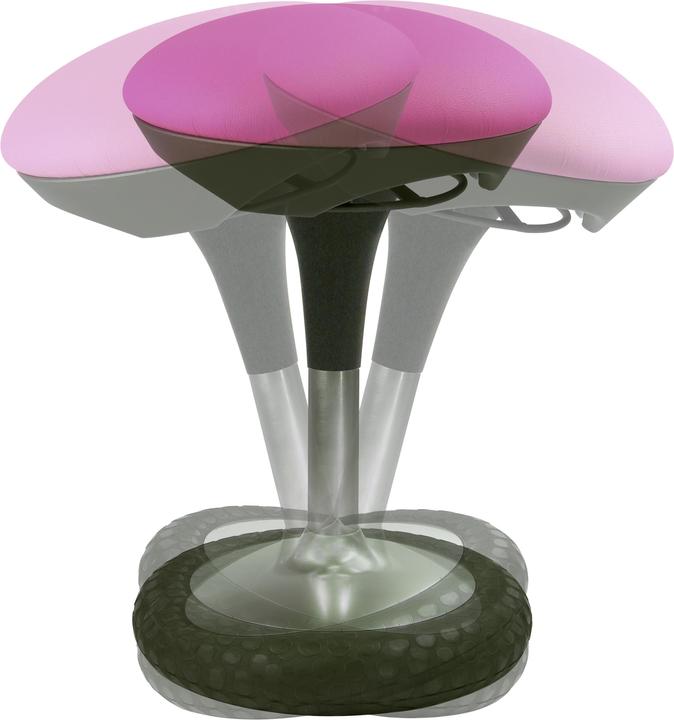 Actual product image Topstar Sitness 20