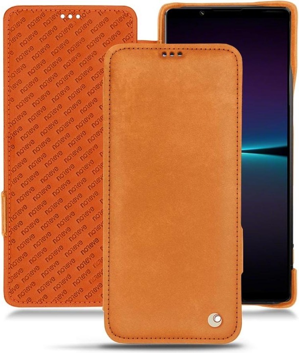 Mandarine vintage ( Pantone #d47231 )