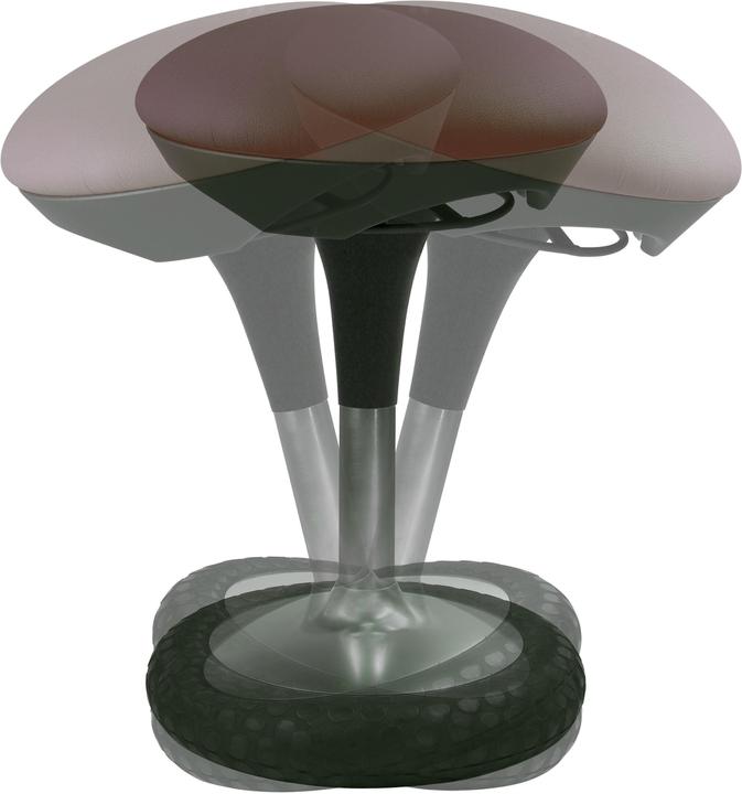 Actual product image Topstar Sitness 20