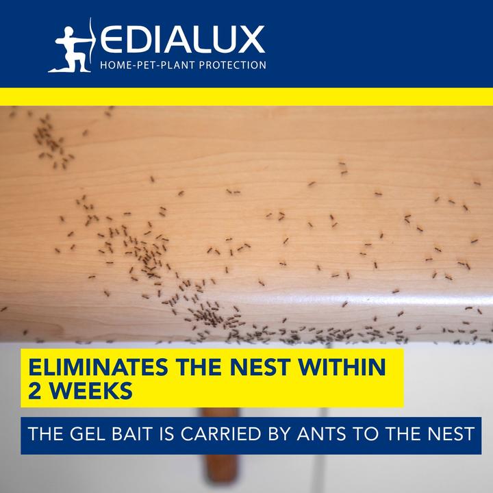 Produktbild Edialux Imidalux Ameisenköderbox mit Gelköder gegen Ameisen und Nester, Insektizidköder für Innen-