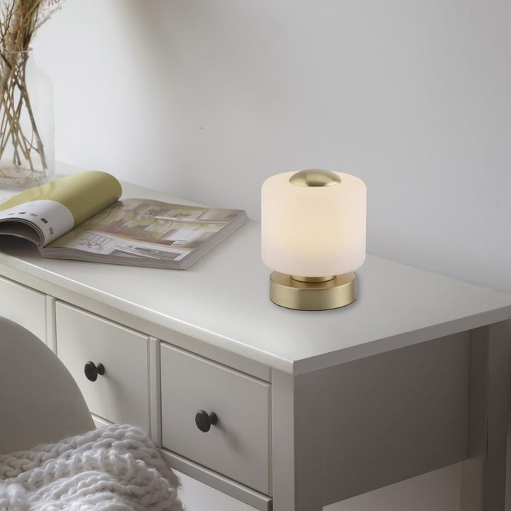 Produktbild Paul Neuhaus Bota (580 lm)