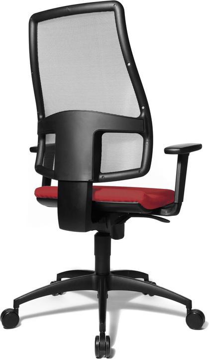 Actual product image Topstar Syncro Net (43 - 51 cm)