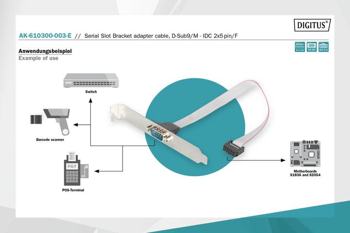 Image du produit Digitus Câble série à fente, 0,25m (0.25 m)