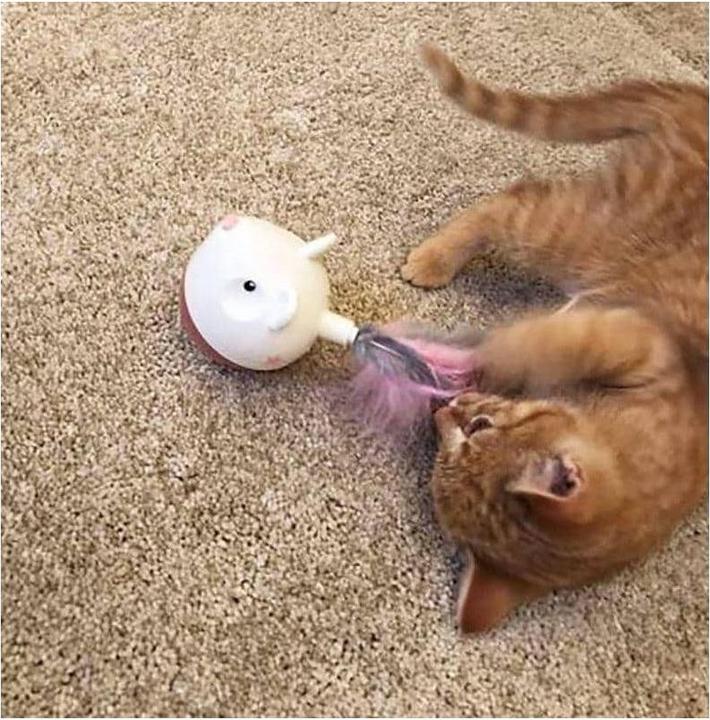 Productafbeelding Petstages Kattenspeeltje Hunt N Swat Kattenlekkernij dispenser (Intelligentie speelgoedkat)