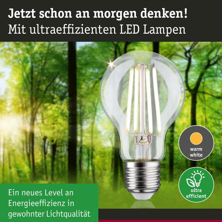 Produktbild Paulmann AGL Eco-Line Filament (E27, 2.50 W, 525 lm, 1 x, A)