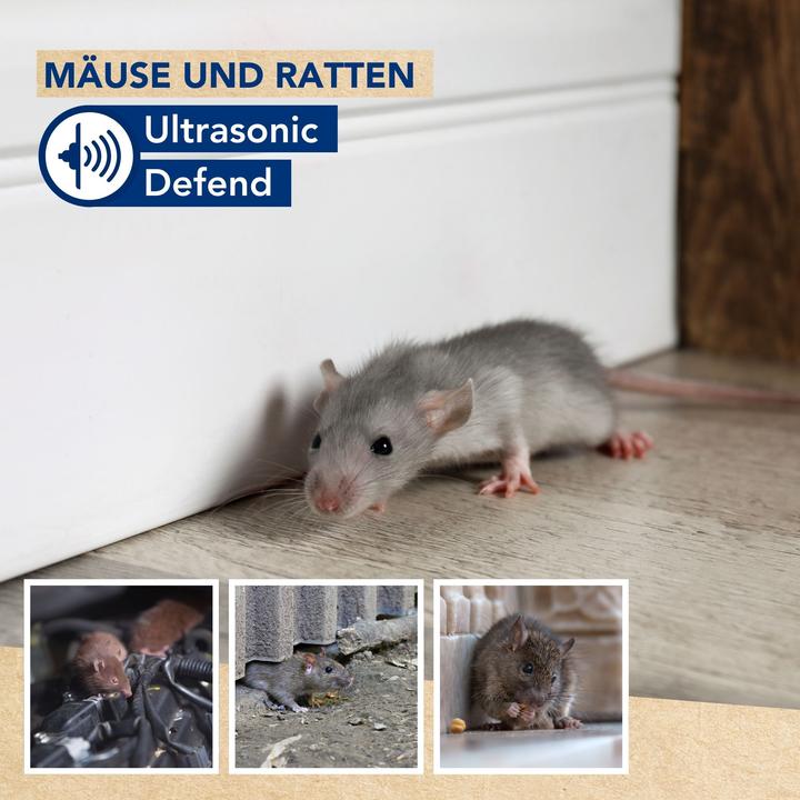 Actual product image Edialux Ultraschall-Abwehr von M?usen und Ratten - f?r drinnen und drau?en