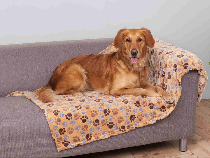 Image du produit Trixie Laslo (Chat, Chien)