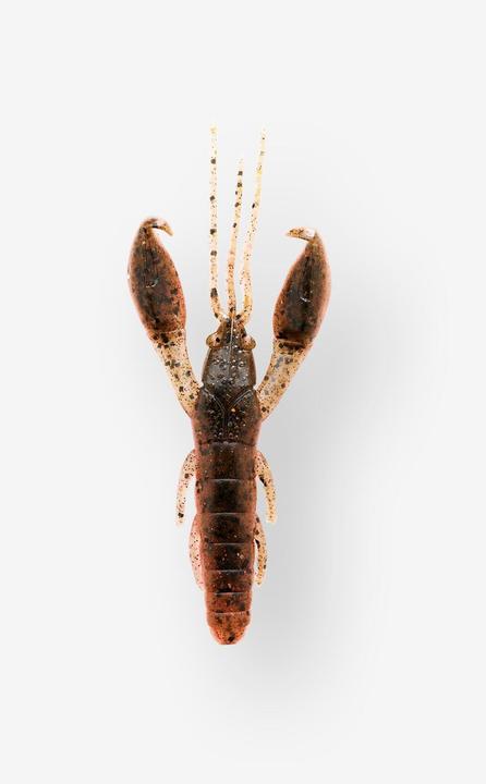 Produktbild Caperlan YUBARI CRW 55 (5.50 cm)