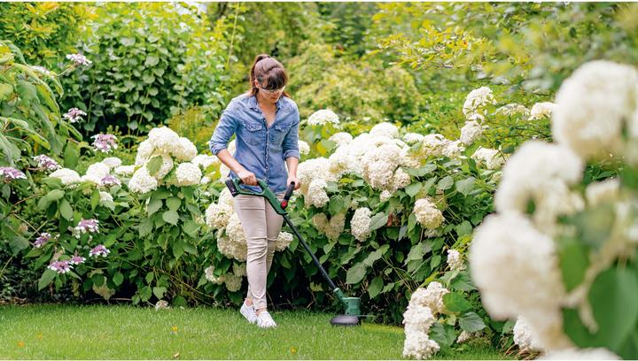 Produktbild Bosch Home & Garden EasyGrassCut 18V-26 (Trimmfaden)