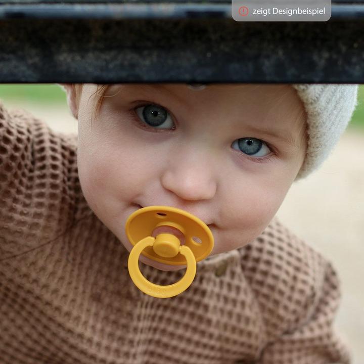 Produktbild Bibs Colour Pacifier (2 x, 6 - 12 Monate)
