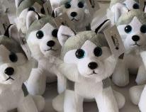 Produktbild Husky Plüschtier 25 cm (25 cm)