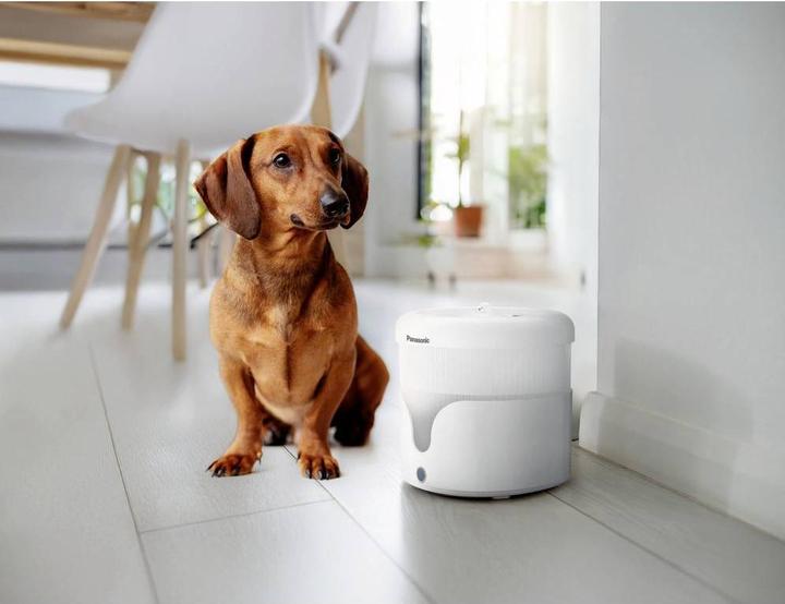 Actual product image Panasonic Pet Drinking Fountain (1.90 l)