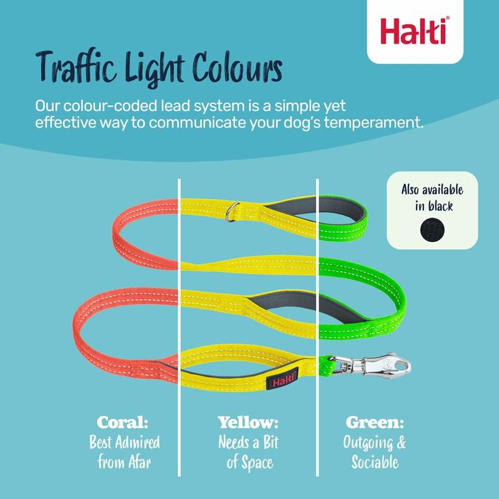 Actual product image Halti BRIG Safety Lead Neon Yellow Large (L, Dog, General)