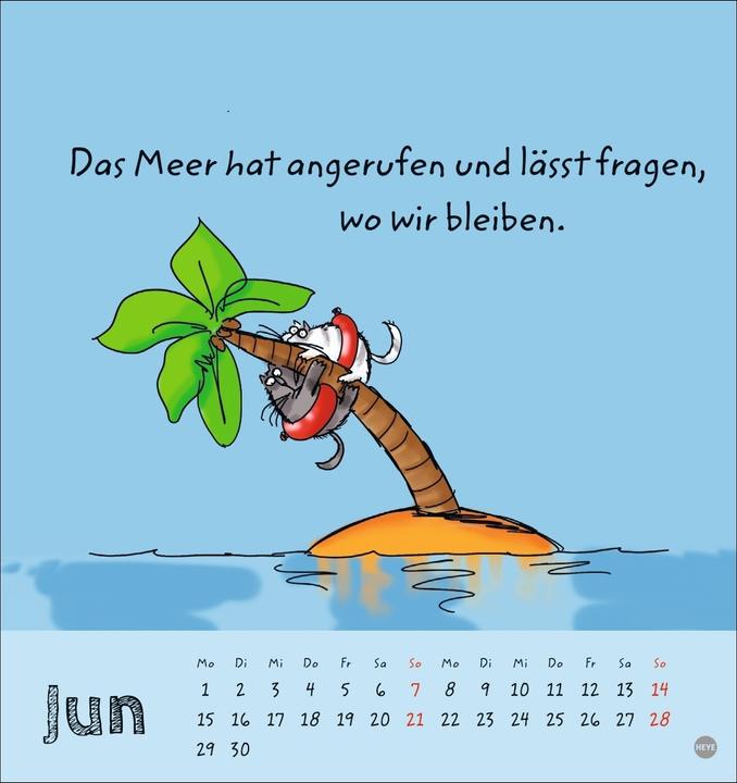 Produktbild Catzz Postkartenkalender 2026 (Postkartenformat)