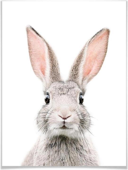 Produktbild Trenddeko Hasenohren