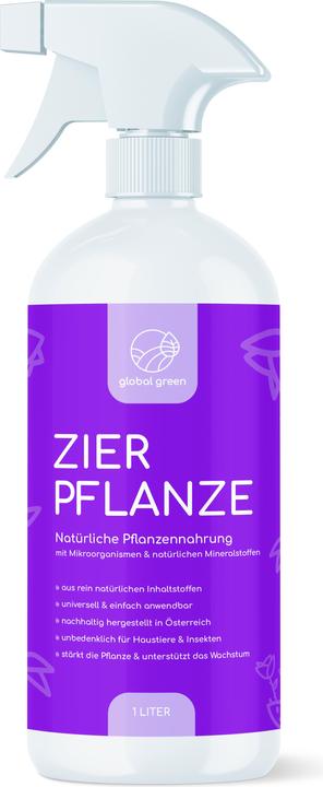 Actual product image Ritter Global Green Ornamental Plant (1 kg, 1 l)